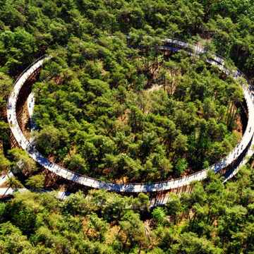 Enhancing Cycling Experience Cycling through the Trees