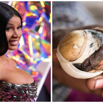 Cardi B's Reaction to Balut Eggs: A Respectful Approach